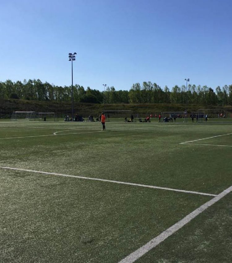 Cup_Denmark_08